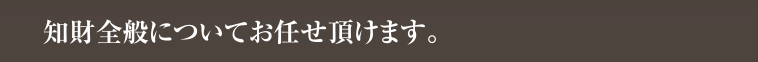 知財全般についてお任せ頂けます。